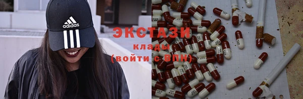 мдпв Дмитров