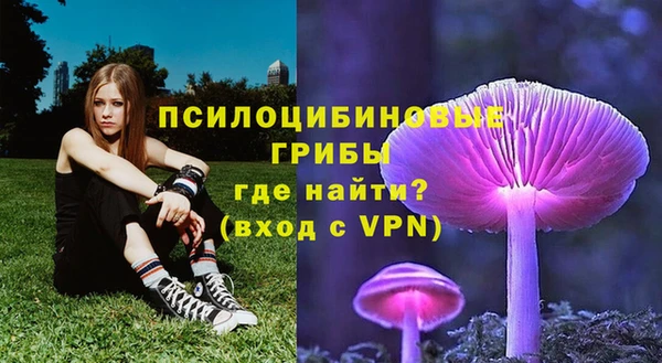 мдпв Дмитров