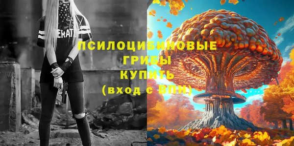 мдпв Дмитров