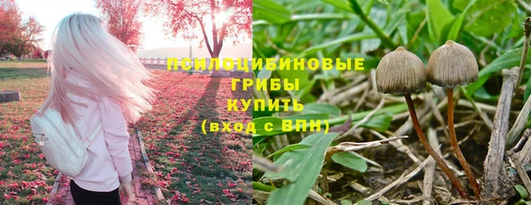 меф Дмитриев