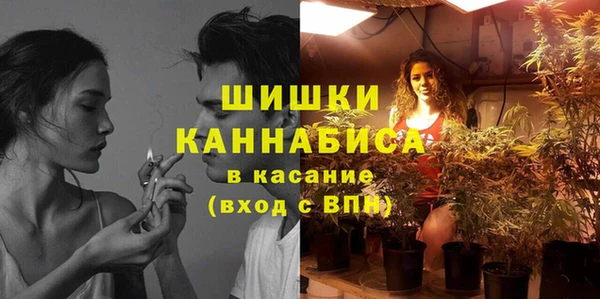 мдпв Дмитров