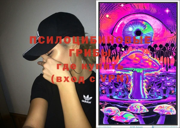 меф Дмитриев
