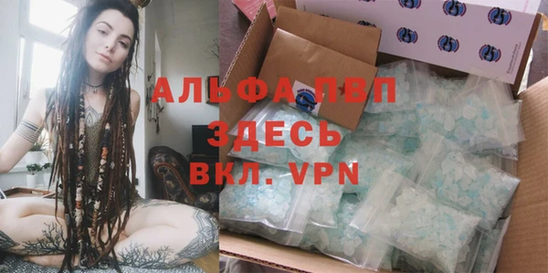 мдпв Дмитров