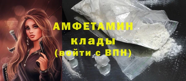 меф Дмитриев