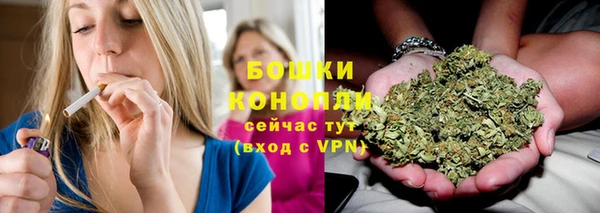 меф Дмитриев