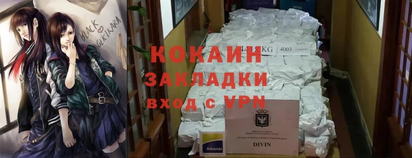 мдпв Дмитров