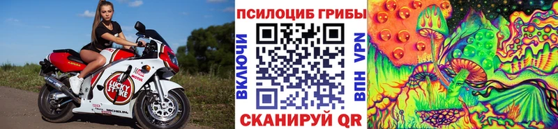 Псилоцибиновые грибы Psilocybine cubensis  Купить где  Усмань 